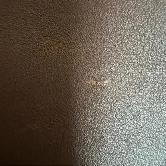 Vintage coach stewardess bag 9525 mahogany made in Costa Rica - Picture 10 of 12